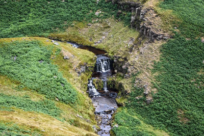 High angle view of man standing on rock