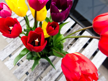 Close-up of red tulips