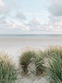 Scenic view of beach against sky