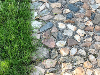 High angle view of rocks on grass