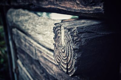 Detail of old wood