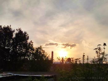 Silhouette trees and buildings against sky during sunset