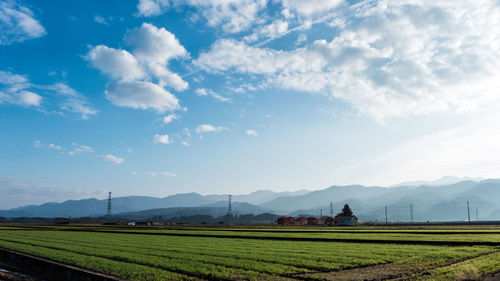 Scenic view of agricultural field against sky