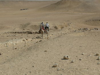 Rear view of friends riding horse on desert