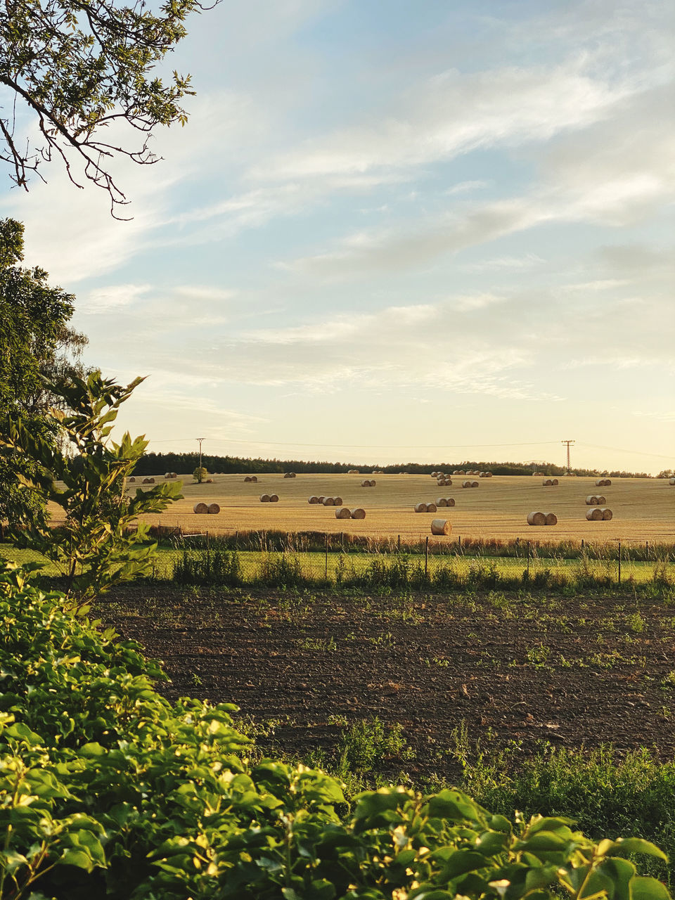 SCENIC VIEW OF FARM AGAINST SKY