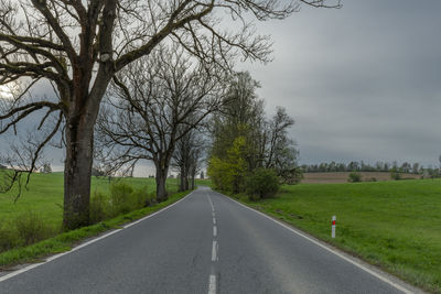 Road amidst bare tree