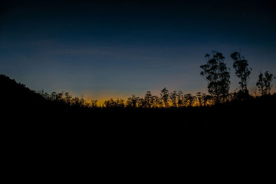 Silhouette trees on field against sky at sunset