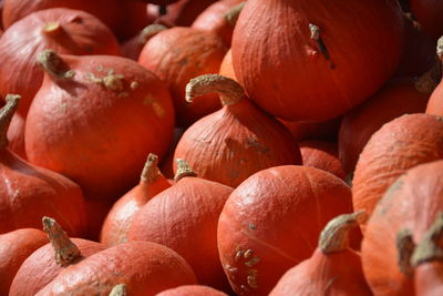 Full frame shot of squashes at market for sale