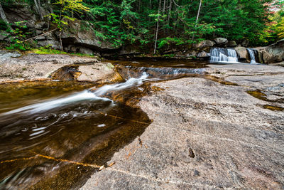 Stream flowing through rocks in forest