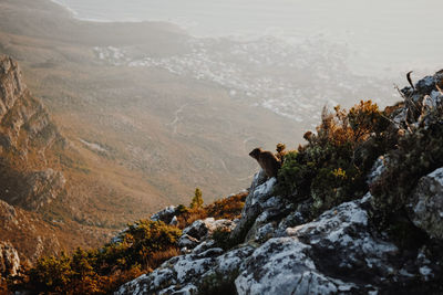 Scenic view of mountain range