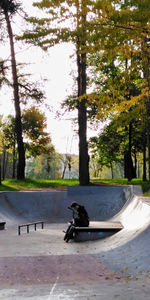 View of skateboard in park