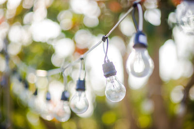 Close-up of light bulb hanging against blurred background