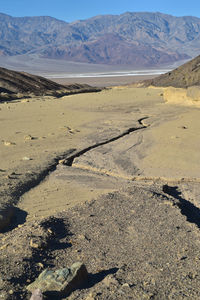 Scenic view of desert