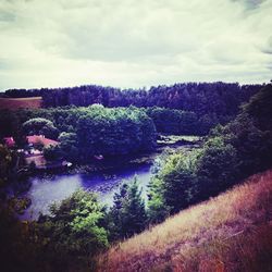 Plants growing on land by lake against sky