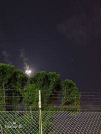 Trees and plants against sky at night