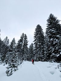 Person walking on snow covered land against sky