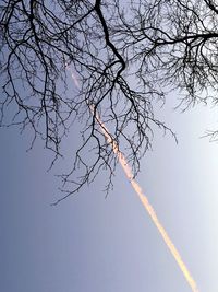 Low angle view of bare tree against clear sky