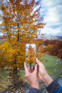 Man photographing through smart phone on tree