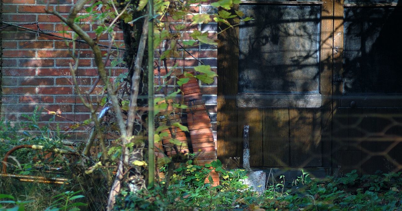 built structure, architecture, plant, building exterior, wall - building feature, house, growth, abandoned, window, old, weathered, ivy, wall, damaged, door, day, no people, front or back yard, outdoors, brick wall