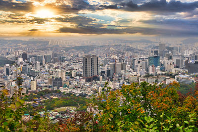 city