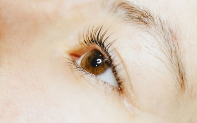 Open eye of a girl with eyelashes after lifting.