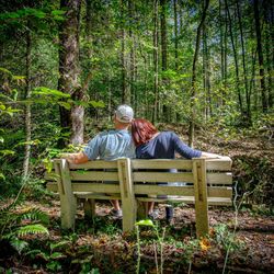 Couple siting on bench in forest