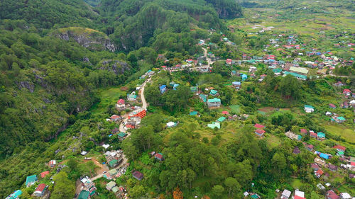 High angle view of trees by building