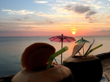 Close-up of plant against sea during sunset