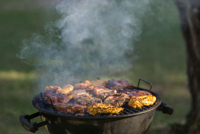 Close-up of meat on barbecue grill in yard