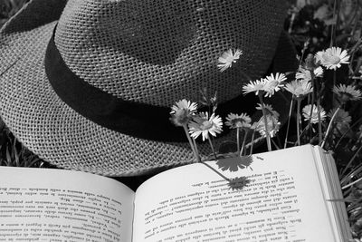 High angle view of various flower on book