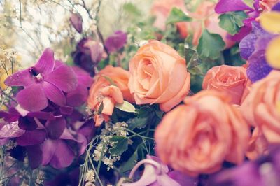 Close-up of rose bouquet