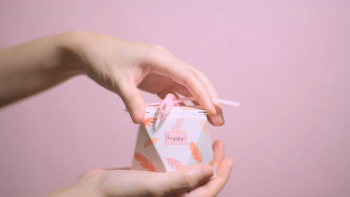 Close-up of woman hand holding pink flower against gray background