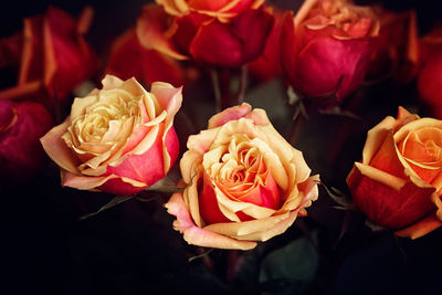 High angle view of rose bouquet