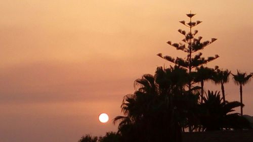 Silhouette trees against sky at sunset