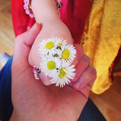 Close-up of hand holding flower