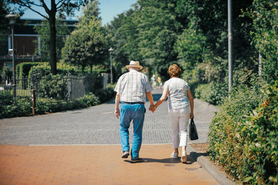 Rear view of friends walking on road along trees