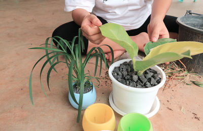 Midsection of man holding potted plant