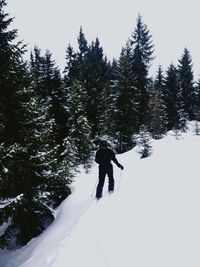 Woman walking on snow covered land against trees