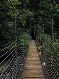 Footbridge amidst trees in forest