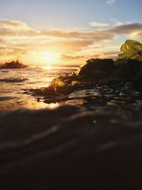 Close-up of sea against sky at sunset