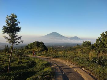 Scenic view of landscape against clear sky