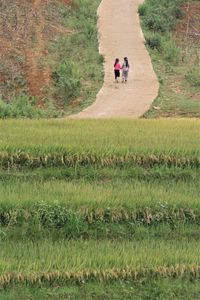 Rear view of people walking on field