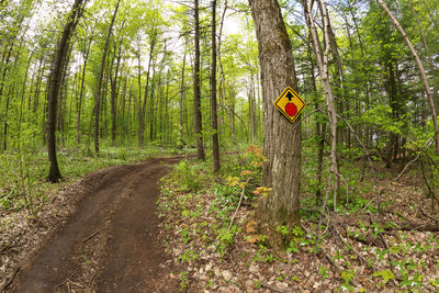 A stop sign posted on tree on atv and dirt bike multi-use or multipurpose trail in simcoe county