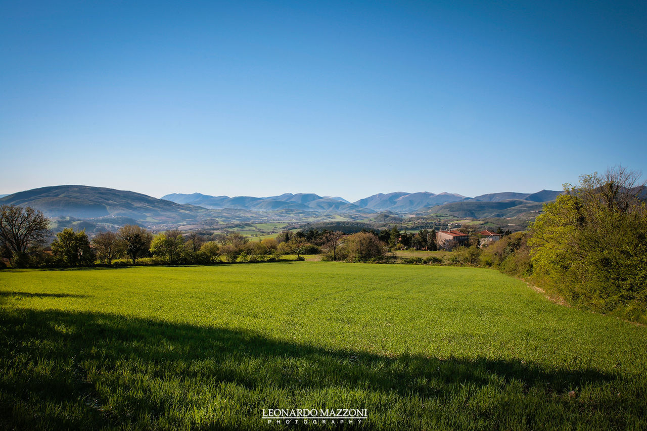 tranquil scene, nature, tranquility, grass, field, landscape, scenics, beauty in nature, green color, mountain, clear sky, no people, day, growth, mountain range, outdoors, tree, sky