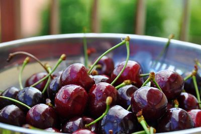 Close-up of cherries in container