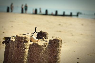 Scenic view of beach