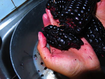 High angle view of hand holding strawberry at home