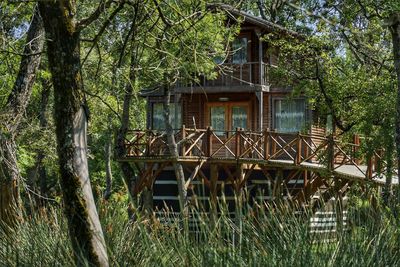 Abandoned house amidst trees in forest