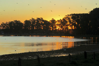 Silhouette birds flying over lake against sky at sunset