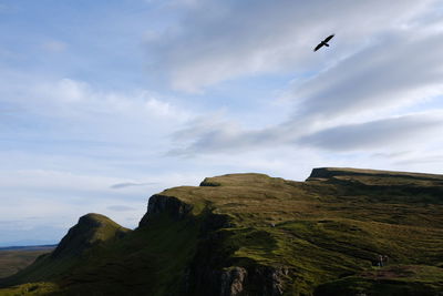 Low angle view of bird flying against sky